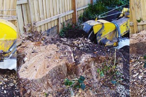 Stump Removal & Stump Grinding in Melbourne