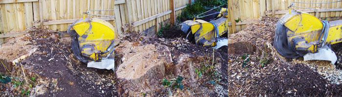 Stump Removal & Stump Grinding in Melbourne Servicing Eastern Suburbs – South Eastern Suburbs – Bayside and Mornington