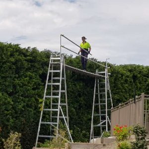 4 and 6 metre ladders for talll Hedges